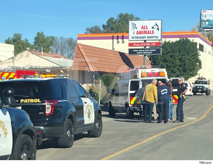 1229-rich-the-kid-accident-tmz-7