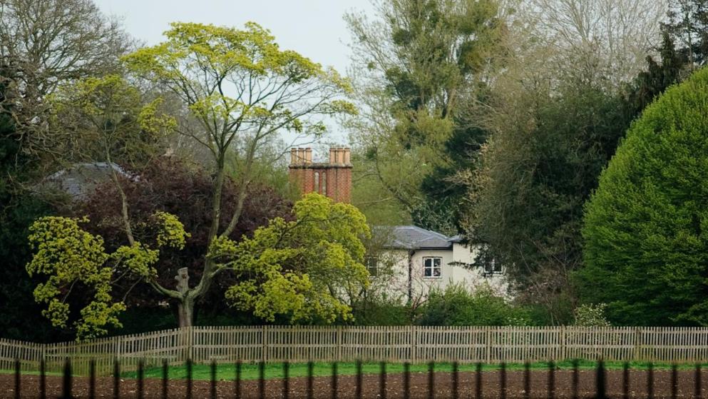 4,w=993,q=high,c=0.bild