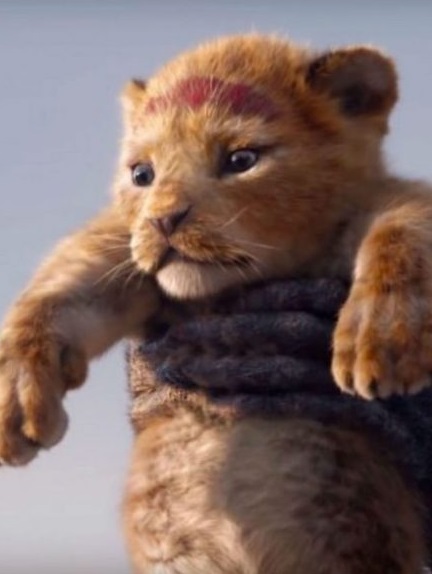 lion