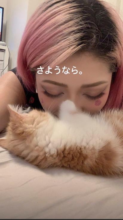 1,w=756,q=high,c=0.bild