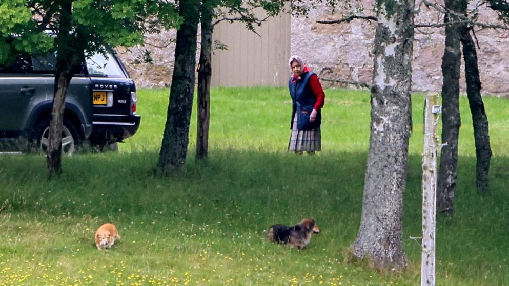 3,w=993,q=high,c=0.bild